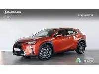Usado Lexus UX 250h Business Edition 184 CV (135 kW) 2022 Naranja SUV
