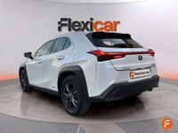 Usado Lexus UX 250h Business Edition 184 CV (135 kW) 2022 Blanco SUV