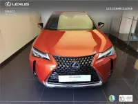 Usado Lexus UX 250h Business Edition 184 CV (135 kW) 2022 Naranja SUV