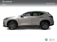 Usado Lexus NX350h Business Edition 242 CV (177 kW) 2022 Gris SUV