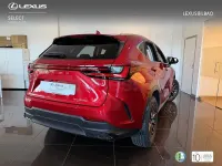 Usado Lexus NX450h+ 292 CV (214 kW) 2025 Rojo SUV