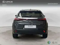 Usado Lexus UX 300h 199 CV (146 kW) 2025 Gris SUV