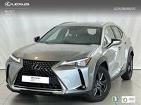 Usado Lexus UX Business Edition 184 CV (135 kW) 2022 Gris / plata SUV