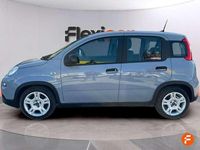 Usado Fiat Panda 71 CV (52 kW) 2023 Gris Utilitario