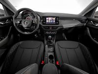 Usado Skoda Kamiq Ambition 150 CV (110 kW) 2023 Blanco candy SUV