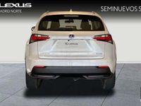 usado Lexus NX300h Business Navigation 2wd