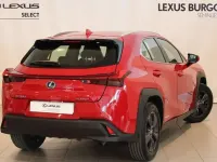Usado Lexus UX 250h 184 CV (135 kW) 2022 Rojo SUV