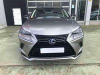 Usado Lexus NX300h Business Edition 197 CV (144 kW) 2021 Gris SUV