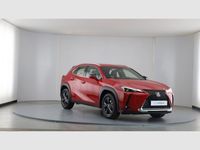 usado Lexus UX 2.0 250h Business