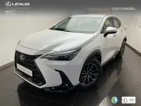 Usado Lexus NX350h 197 CV (144 kW) 2025 Blanco SUV