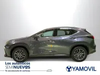 Usado Lexus NX350h Business Edition 242 CV (177 kW) 2022 Gris / plata SUV