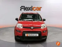Usado Fiat Panda City Life 71 CV (52 kW) 2022 Rojo Utilitario