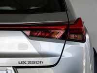 Usado Lexus UX 250h Business Edition 184 CV (135 kW) 2020 Plateado SUV