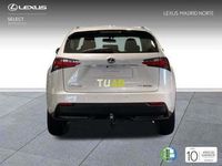 usado Lexus NX300h executive tecno 4wd 145 kw (197 cv)