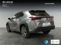 Usado Lexus UX Executive Line 2022 SUV