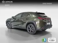 Usado Lexus UX Business Edition 184 CV (135 kW) 2023 Verde SUV