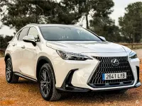 Usado Lexus NX350h Executive Line 242 CV (177 kW) 2022 Blanco SUV