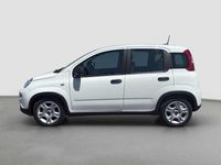 Usado Fiat Panda 71 CV (52 kW) 2023 Blanco Utilitario