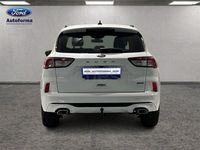 Usado Ford Kuga ST-Line 225 CV (165 kW) 2022 Blanco SUV