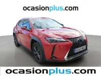 Usado Lexus UX 250h Business Edition 184 CV (135 kW) 2023 Rojo SUV