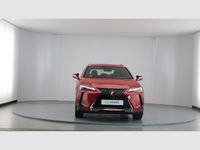 usado Lexus UX 2.0 250h Business