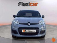Usado Fiat Panda 71 CV (52 kW) 2022 Gris Utilitario