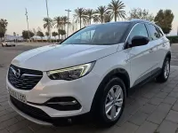 Używany Opel Grandland X 130 KM (95 kW) 2019 Biały SUV