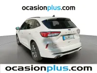 Usado Ford Kuga ST-Line X 190 CV (139 kW) 2020 Beige SUV