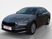 Usado Skoda Octavia 115 CV (84 kW) 2025 Berlina