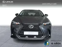 Usado Lexus NX450h+ 309 CV (227 kW) 2025 Gris SUV