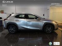 usado Lexus UX 250h Business City 2WD