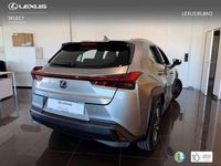 Usado Lexus UX 250h Business Edition 184 CV (135 kW) 2022 Plateado SUV