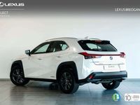 usado Lexus UX 250h BUSINESS NAVIGATION