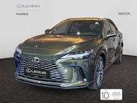 Nuevo Lexus RX450h+ Executive Line 292 CV (214 kW) 2026 Verde
