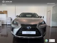 Usado Lexus NX300h Business Edition 197 CV (144 kW) 2019 Plateado SUV