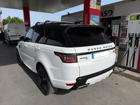 Usado Land Rover Range Rover Sport HSE 306 CV (225 kW) 2020 Blanco SUV
