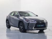 Usado Lexus UX 250h Business Edition 184 CV (135 kW) 2022 Gris SUV