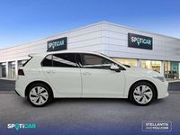 Occasion VW Golf VIII 116 ch (85 kW) 2025 Blanc Citadine