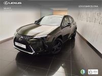 Nuevo Lexus UX 199 CV (146 kW) 2025 Verde SUV