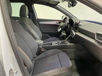 usado Seat Leon 1.5 eTSI S&S FR Special Edition DSG 110 kW (150 CV)
