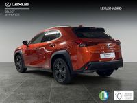 Usado Lexus UX Business Edition 184 CV (135 kW) 2020 Naranja SUV