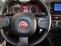 Usado Fiat Panda 70 HP (51 kW) 2023 Cinzento Citadino