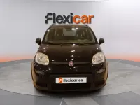 Usado Fiat Panda City Life 71 CV (52 kW) 2022 Negro Utilitario