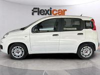 Usado Fiat Panda 71 HP (52 kW) 2022 Branco Citadino