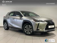 Usado Lexus UX 300e Business Edition 150 kW (204 CV) 2021 Gris SUV