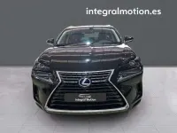 Usado Lexus NX300h Business Edition 197 CV (144 kW) 2020 Negro SUV
