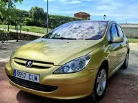 Usado Peugeot 307 110 CV (80 kW) 2005 Utilitario