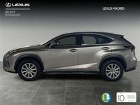 usado Lexus NX300 300h Business 2WD