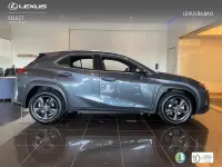 Usado Lexus UX 199 CV (146 kW) 2026 Gris / plata SUV