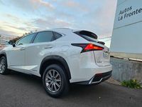Usado Lexus NX300h Business Edition 197 CV (144 kW) 2019 Blanco SUV